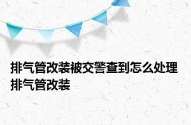 排气管改装被交警查到怎么处理 排气管改装 