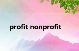 profit nonprofit 