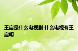 王启是什么电视剧 什么电视有王启明 