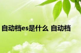 自动档es是什么 自动档 