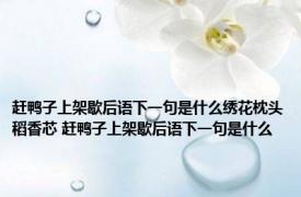 赶鸭子上架歇后语下一句是什么绣花枕头稻香芯 赶鸭子上架歇后语下一句是什么 