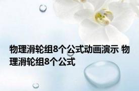 物理滑轮组8个公式动画演示 物理滑轮组8个公式 