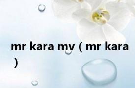 mr kara mv（mr kara）