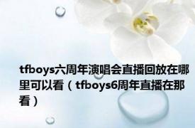 tfboys六周年演唱会直播回放在哪里可以看（tfboys6周年直播在那看）