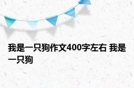 我是一只狗作文400字左右 我是一只狗 