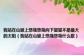 我站在山坡上悠哉悠哉向下望望不是最大的太阳（我站在山坡上悠哉悠哉什么歌）