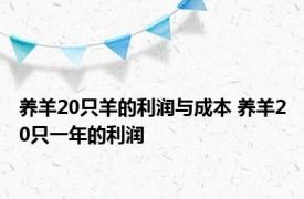 养羊20只羊的利润与成本 养羊20只一年的利润 