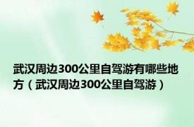 武汉周边300公里自驾游有哪些地方（武汉周边300公里自驾游）