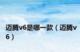 迈腾v6是哪一款（迈腾v6）