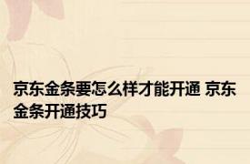 京东金条要怎么样才能开通 京东金条开通技巧 