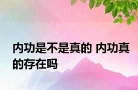 内功是不是真的 内功真的存在吗 