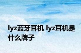 lyz蓝牙耳机 lyz耳机是什么牌子 