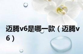 迈腾v6是哪一款（迈腾v6）