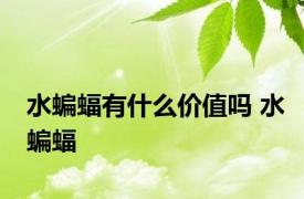 水蝙蝠有什么价值吗 水蝙蝠 