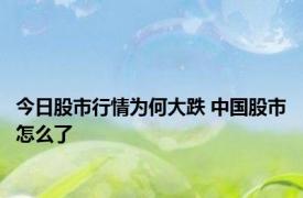 今日股市行情为何大跌 中国股市怎么了 