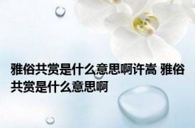 雅俗共赏是什么意思啊许嵩 雅俗共赏是什么意思啊 