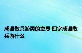 成语散兵游勇的意思 四字成语散兵游什么 