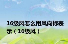 16级风怎么用风向标表示（16级风）