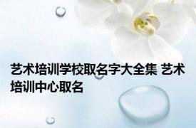 艺术培训学校取名字大全集 艺术培训中心取名 