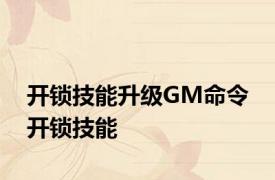 开锁技能升级GM命令 开锁技能 