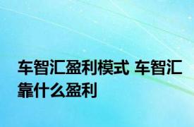 车智汇盈利模式 车智汇靠什么盈利 