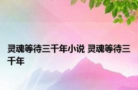 灵魂等待三千年小说 灵魂等待三千年 