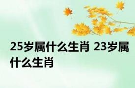 25岁属什么生肖 23岁属什么生肖 