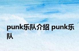 punk乐队介绍 punk乐队 