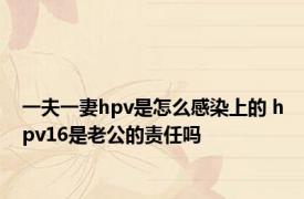 一夫一妻hpv是怎么感染上的 hpv16是老公的责任吗 