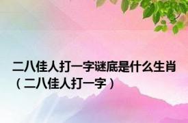 二八佳人打一字谜底是什么生肖（二八佳人打一字）