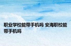 职业学校能带手机吗 安海职校能带手机吗 