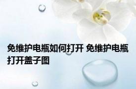 免维护电瓶如何打开 免维护电瓶打开盖子图 