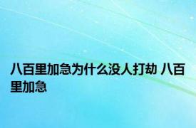 八百里加急为什么没人打劫 八百里加急 