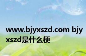 www.bjyxszd.com bjyxszd是什么梗