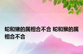 蛇和猪的属相合不合 蛇和猴的属相合不合 