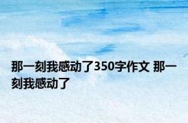 那一刻我感动了350字作文 那一刻我感动了 