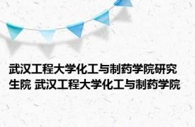 武汉工程大学化工与制药学院研究生院 武汉工程大学化工与制药学院 