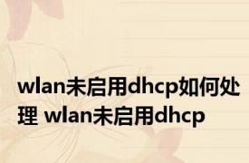 wlan未启用dhcp如何处理 wlan未启用dhcp 