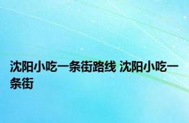 沈阳小吃一条街路线 沈阳小吃一条街 