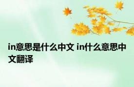 in意思是什么中文 in什么意思中文翻译 