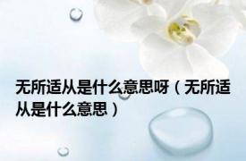 无所适从是什么意思呀（无所适从是什么意思）