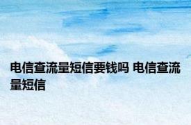 电信查流量短信要钱吗 电信查流量短信 