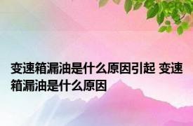 变速箱漏油是什么原因引起 变速箱漏油是什么原因 