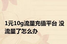 1元10g流量充值平台 没流量了怎么办 