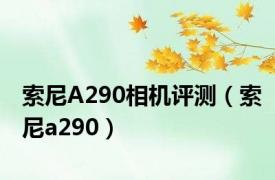 索尼A290相机评测（索尼a290）