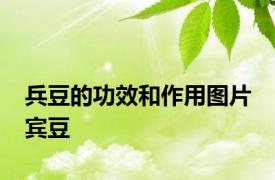 兵豆的功效和作用图片 宾豆 