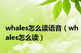 whales怎么读语音（whales怎么读）