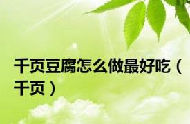 千页豆腐怎么做最好吃（千页）