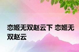 恋姬无双赵云下 恋姬无双赵云 