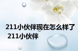 211小伙伴现在怎么样了 211小伙伴 